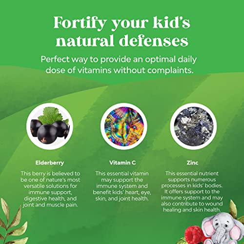 Foto 5 | Gomitas de Saúco Natures Craft Kids con Zinc Y Vitamina C - Venta Internacional
