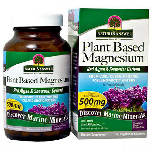 Foto 2 pulgar | Suplemento de Magnesio A Base De Plantas Nature's Answer 90 Cápsulas - Venta Internacional