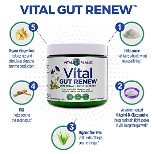 Foto 6 pulgar | Suplemento Vital Planet Vital Gut Renew Powder 200 Ml - Venta Internacional.