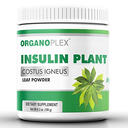 Foto 2 pulgar | Suplemento Organoplex Insulina Plant En Polvo 100% Natural 120 G - Venta Internacional.
