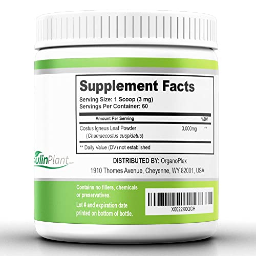 Foto 4 pulgar | Suplemento Organoplex Insulina Plant En Polvo 100% Natural 120 G - Venta Internacional.