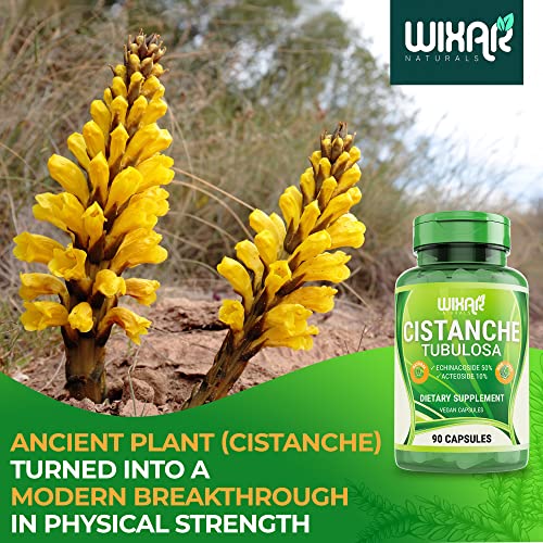 Foto 6 | Suplemento Wixar Naturals Cistanche Tubulosa, Cápsulas De 90 Unidades - Venta Internacional.