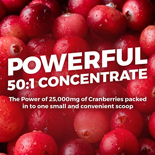 Foto 4 | Suplemento De Concentrado De Arándano Pure Co En Polvo De 25,000 Mg - Venta Internacional.