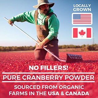 Foto 6 | Suplemento De Concentrado De Arándano Pure Co En Polvo De 25,000 Mg - Venta Internacional.