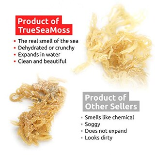 Foto 5 | Sea Moss Trueseamoss Orgánico Crudo, 100% Irlandés, 454 G (16 Oz) - Venta Internacional.