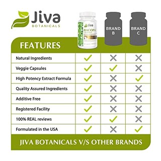 Foto 4 | Suplemento Bacopa Monnieri Brahmi De Jiva Botanicals 300 Mg 60 C - Venta Internacional.