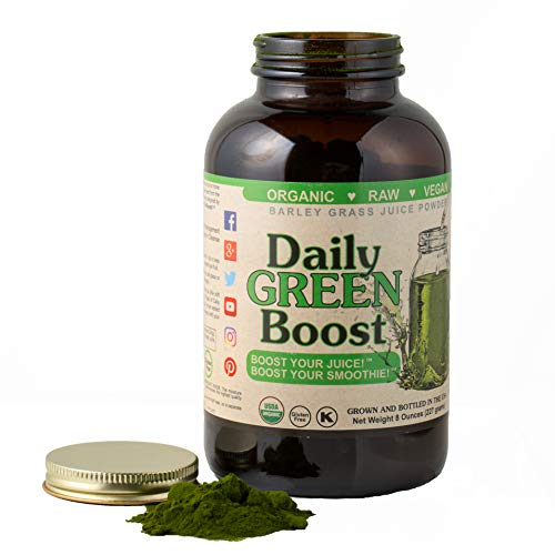 Foto 2 pulgar | Soluciones De Suplementos Para Una Mejor Salud Daily Green Boost 240 - Venta Internacional.