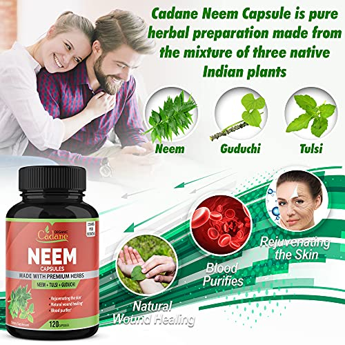 Foto 6 pulgar | Suplemento Orgánico De Hojas De Neem De Cadane, 2250 Mg, 120 Cápsulas - Venta Internacional.