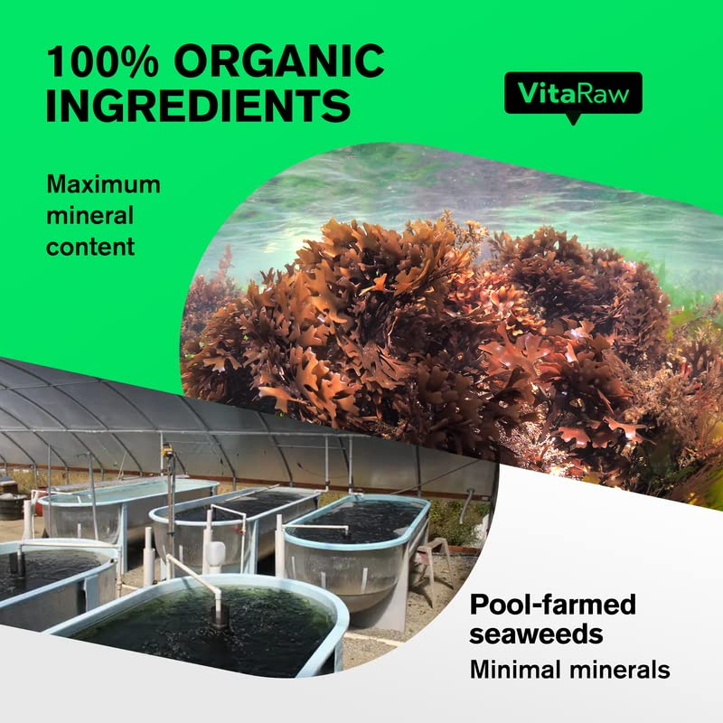 Foto 4 | Suplemento Vitaraw Sea Moss En Cápsulas De 2400 Mg Con Bardana Y Azul - Venta Internacional.
