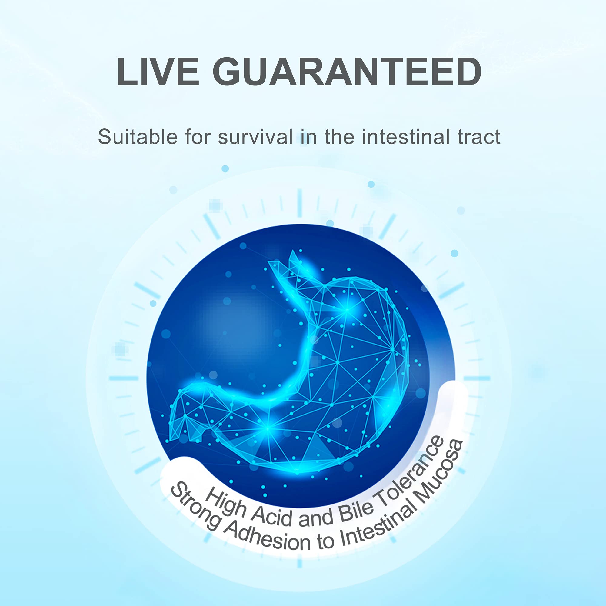 Foto 5 | Probiotic Life-space Premium De Amplio Espectro, 32 Mil Millones De Cfu - Venta Internacional.