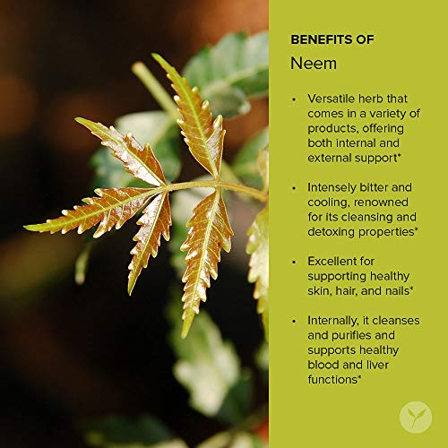 Foto 4 | Polvo De Neem Banyan Botanicals Organic Azadirachta Indica 227 - Venta Internacional.