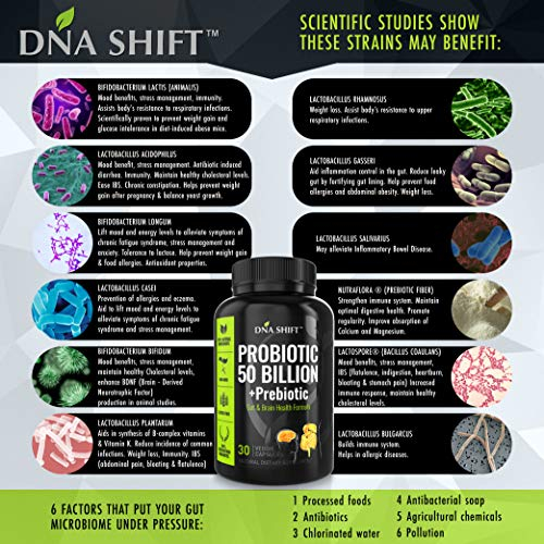 Foto 4 | Suplemento Dna Shift Probiotics, 50 Mil Millones, Cepa 11, 50 Ml - Venta Internacional.