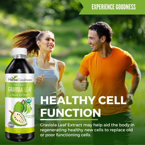 Foto 4 pulgar | Suplemento Herbal Extracto De Hoja De Graviola A Base De Hierbas 15 Veces 355 Ml - Venta Internacional.