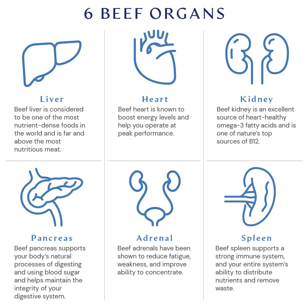 Foto 6 pulgar | Suplemento Bodyhealth Organ+ Glandular Organ Comp. - Venta Internacional.