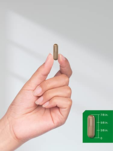 Foto 8 pulgar | Suplemento De Canela En Cápsulas Horbaach, 2500 Mg, 250 Unidades - Venta Internacional.