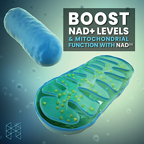 Foto 7 pulgar | Suplemento Hpn Nad+ Booster (nad3) 60 Cápsulas De 1 Mes - Venta Internacional.