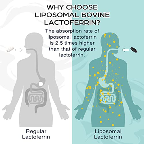 Foto 3 pulgar | Suplemento De Lactoferrina Liposomal Superior 1000 Mg - Venta Internacional.