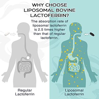 Foto 2 | Suplemento De Lactoferrina Liposomal Superior 1000 Mg - Venta Internacional.