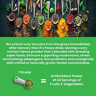 Foto 5 | Suplemento Paradise Orac Energy Greens 360 Ml 60 Porciones - Venta Internacional