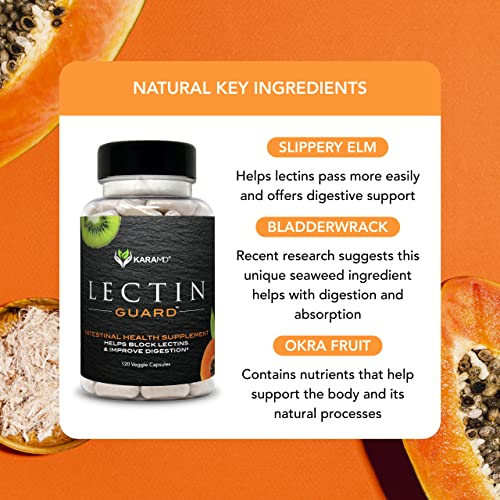 Foto 4 | Suplemento Karamd Lectin Gut Health Digestion 120 Cápsulas - Venta Internacional.