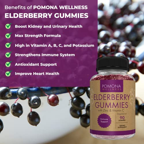 Foto 3 pulgar | Complementa Las Gomitas De Saúco Pomona Wellness Con Zinc Y Vitamina - Venta Internacional.