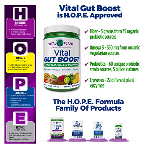 Foto 6 pulgar | Suplemento Vital Planet Vital Gut Boost En Polvo, 230 G, 30 Porciones - Venta Internacional.