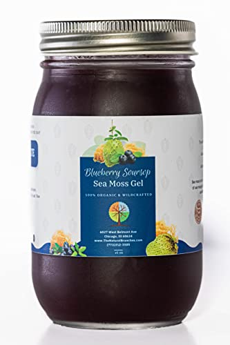 Foto 2 pulgar | Sea Moss Gel The Natural Branches Organic Blueberry & Sourso - Venta Internacional.