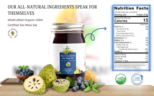 Foto 3 pulgar | Sea Moss Gel The Natural Branches Organic Blueberry & Sourso - Venta Internacional.