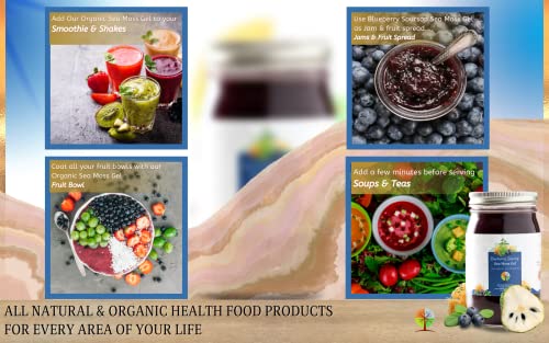 Foto 4 pulgar | Sea Moss Gel The Natural Branches Organic Blueberry & Sourso - Venta Internacional.