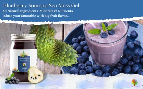 Foto 5 pulgar | Sea Moss Gel The Natural Branches Organic Blueberry & Sourso - Venta Internacional.