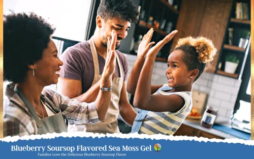 Foto 6 pulgar | Sea Moss Gel The Natural Branches Organic Blueberry & Sourso - Venta Internacional.