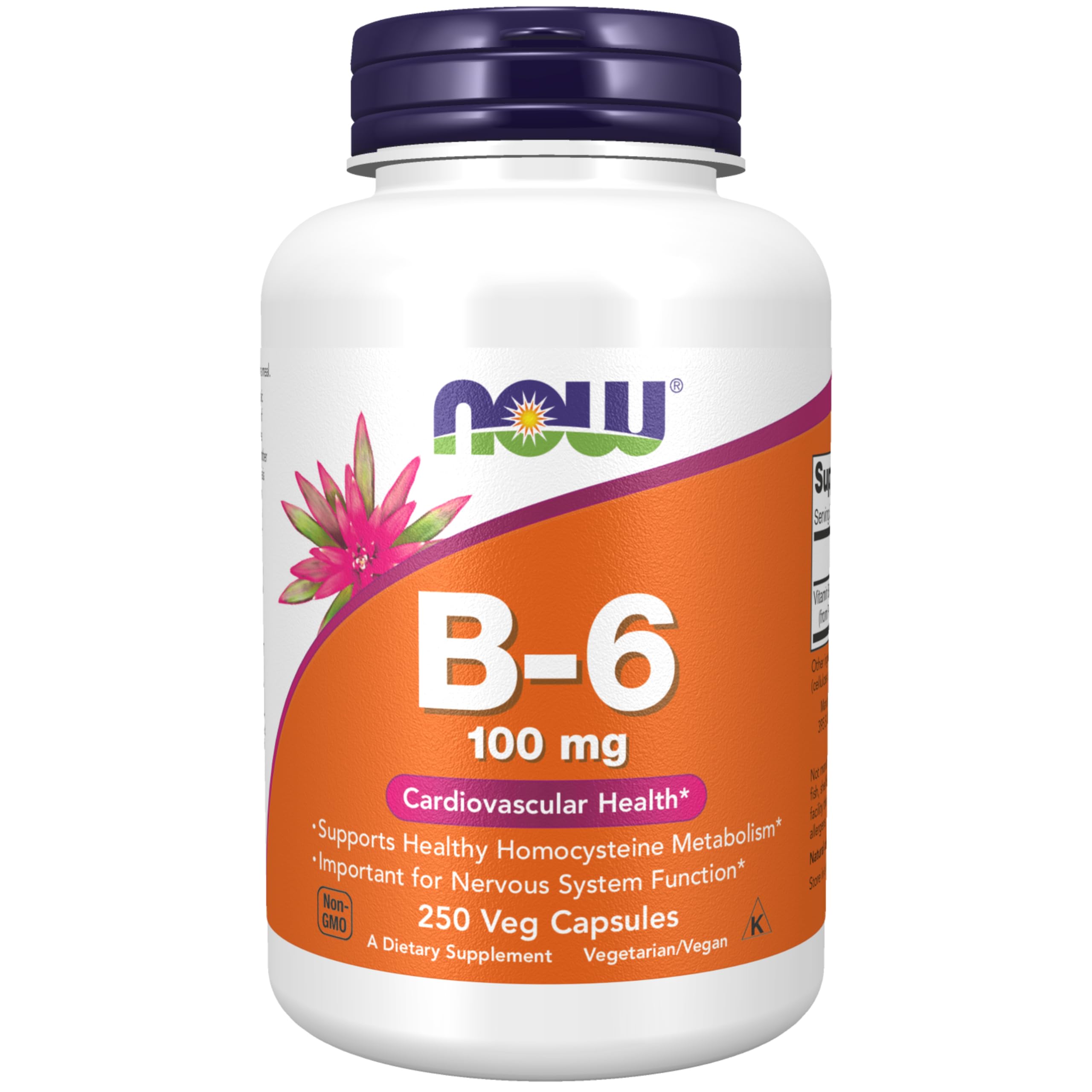 Suplemento Now De Vitamina B-6 (piridoxina Hcl) 100 Mg 250 Cápsulas - Venta Internacional.