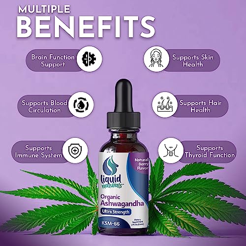 Foto 4 pulgar | Suplemento Liquid Naturals, Gotas De Ashwagandha, 2000 Mg, 6 Veces Más - Venta Internacional.