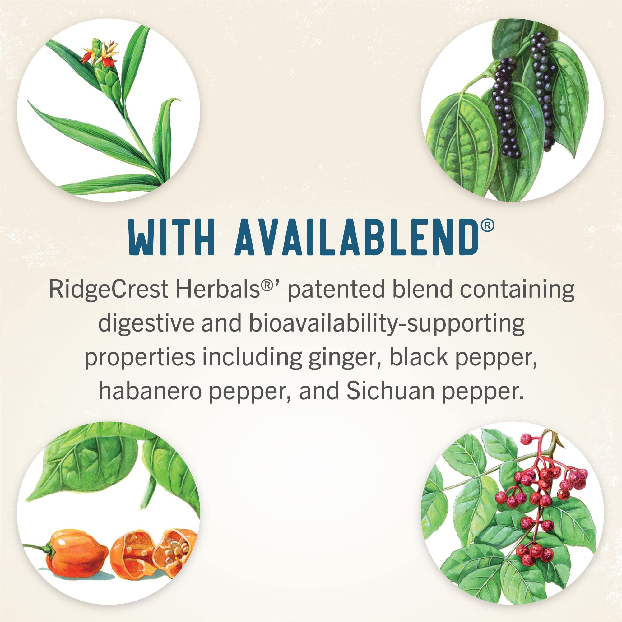 Foto 6 | Suplemento Ridgecrest Herbals Hair Revive 120 Cápsulas - Venta Internacional.