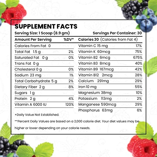Foto 6 pulgar | Suplemento Greens+ Advanced Multi Wild Berry 277 Ml - Venta Internacional.