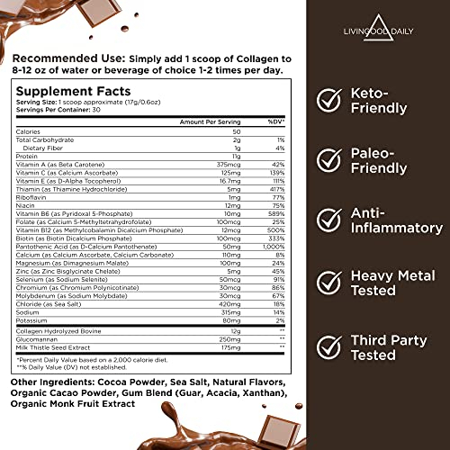 Foto 2 | Colágeno En Polvo Livingood Daily Chocolate, 500 Ml, 30 Porciones - Venta Internacional.