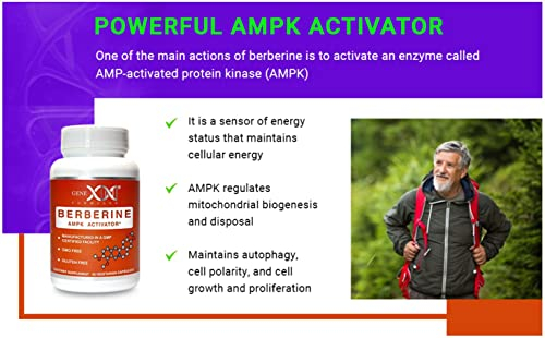 Foto 7 pulgar | Suplemento Genex Berberine Hcl 500 Mg Ampk Activator 60 Cápsulas - Venta Internacional.