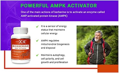 Foto 6 | Suplemento Genex Berberine Hcl 500 Mg Ampk Activator 60 Cápsulas - Venta Internacional.