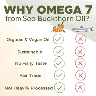 Foto 6 | Suplemento De Aceite De Espino Amarillo De Seabuckwonders Omega-7 60 Softg - Venta Internacional.