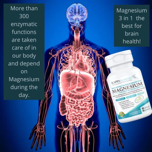 Foto 5 | Suplemento Kappa Nutrition L-treonato De Magnesio 3 En 1 90 C - Venta Internacional.