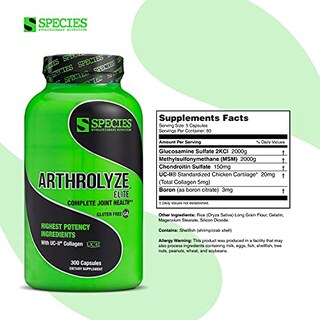 Foto 3 | Supplement Species Nutrition Arthrolyze Joint Repair 300 Cap - Venta Internacional.
