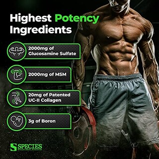 Foto 4 | Supplement Species Nutrition Arthrolyze Joint Repair 300 Cap - Venta Internacional.