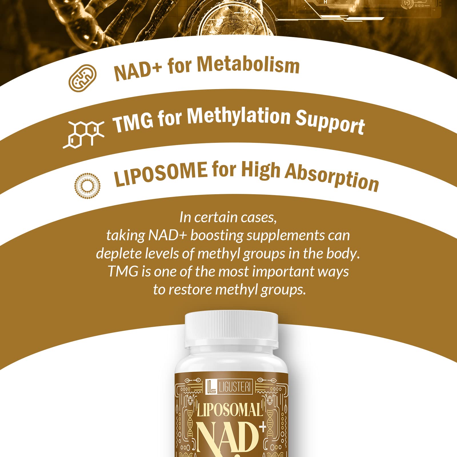 Foto 6 pulgar | Suplemento Ligusteri Nad+ Liposomal 750 Mg Con Tmg 750 Mg - Venta Internacional.