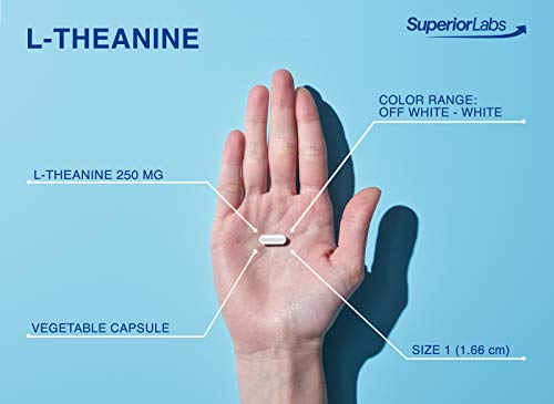 Foto 4 pulgar | Suplemento Superior Labs L-teanina 250 Mg 90 Cápsulas - Venta Internacional.