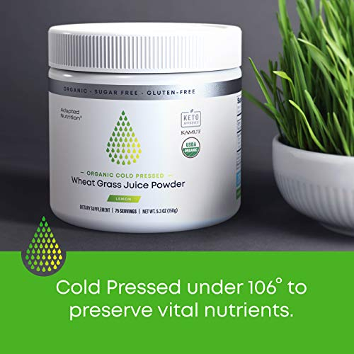 Foto 4 | Jugo De Pasto De Trigo En Polvo Adapted Nutrition Kamut 75 Porciones - Venta Internacional.