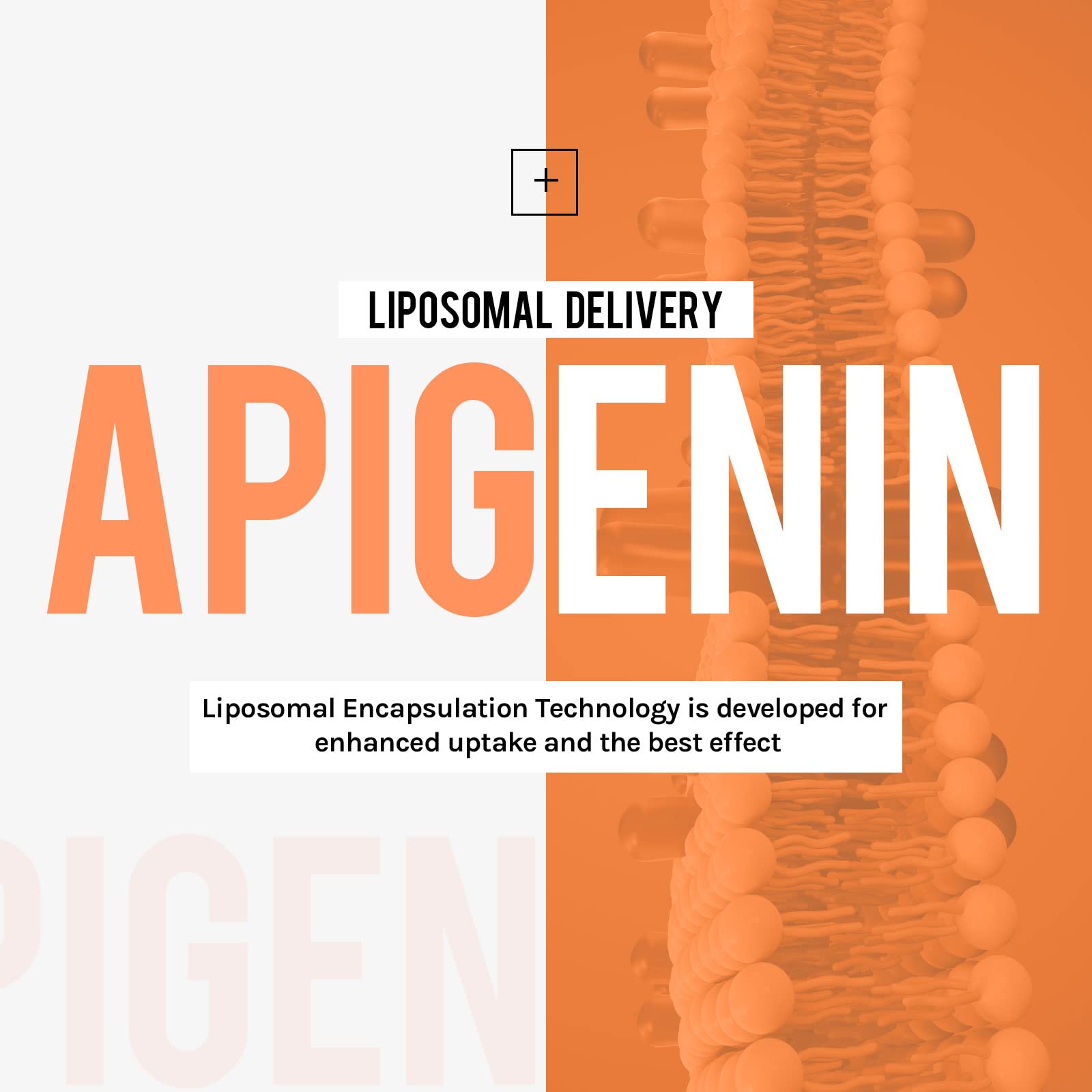 Foto 3 pulgar | Suplemento Cenffitio Apigenina Liposomal 500 mg - Venta Internacional