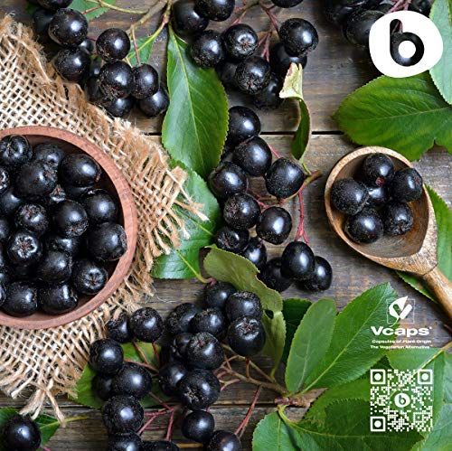 Foto 7 pulgar | Suplemento De Baya De Aronia Orgánica Europea De Primera Calidad De Bobica Ca - Venta Internacional.