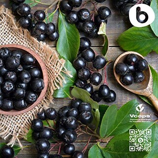 Foto 6 | Suplemento De Baya De Aronia Orgánica Europea De Primera Calidad De Bobica Ca - Venta Internacional.