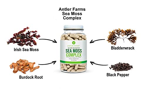 Foto 5 pulgar | Suplemento Antler Farms Sea Moss Complex 130 Cápsulas - Venta Internacional.