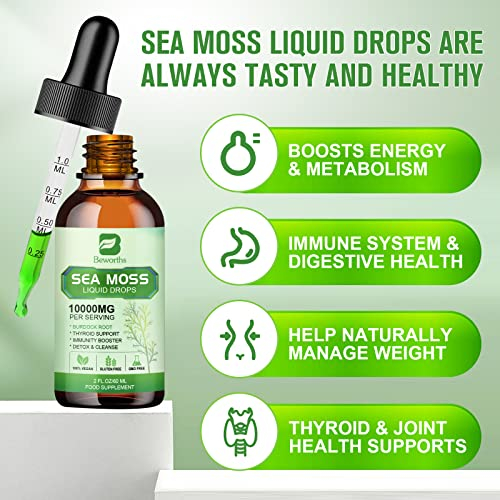 Foto 3 pulgar | Sea Moss Liquid Drops B Beworths Organic Irish 60 Ml - Venta Internacional.